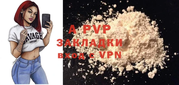 ГАЛЛЮЦИНОГЕННЫЕ ГРИБЫ Горняк
