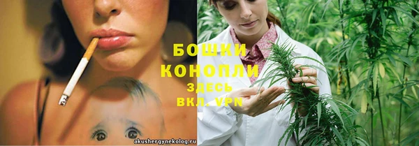 ГАЛЛЮЦИНОГЕННЫЕ ГРИБЫ Горняк
