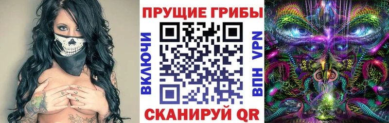 Галлюциногенные грибы прущие грибы  Купить  Элиста 